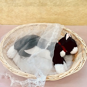 バスケット使用イメージ